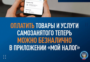 Оплатить товары и услуги самозанятого теперь можно онлайн в приложении «Мой налог»
