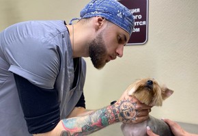 40 предпринимателей края смогли удвоить рекламный бюджет на продвижение в популярной социальной сети