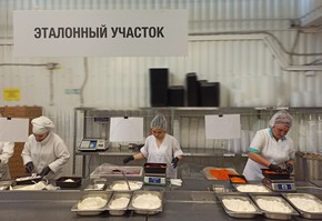 Новая схема сборки салата и система хранения: в торговой сети «Командор» увеличили производительность труда благодаря нацпроекту