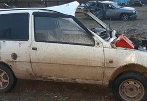 Сотрудники Госавтоинспекции призывают водителей остерегаться выхода животных на дорогу