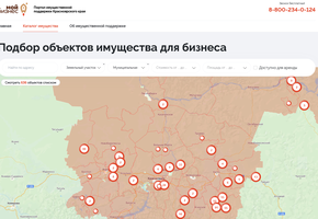 Для предпринимателей и самозанятых Красноярского края заработал портал имущественной поддержки