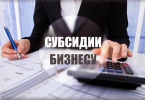 О проведении отбора заявок для предоставления грантов в форме субсидии субъектам малого и среднего предпринимательства на начало ведения предпринимательской деятельности