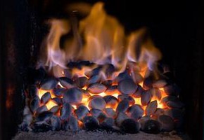 О бездымном топливе СУЭК узнали в Сколково