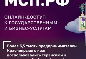 Более 6,5 тысяч предпринимателей края воспользовались сервисами и продуктами Цифровой платформы МСП.РФ
